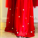 Selfie Crimson Red Georgette 3pcs Suit Set