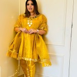 Selfie  Organza indo- Western dress