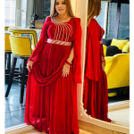 Selfie Blood Red Designer Georgette Gown